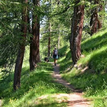 Вилла Forsthaus Am Wald Mit Garten & Feuerstelle Neu-Eichenberg