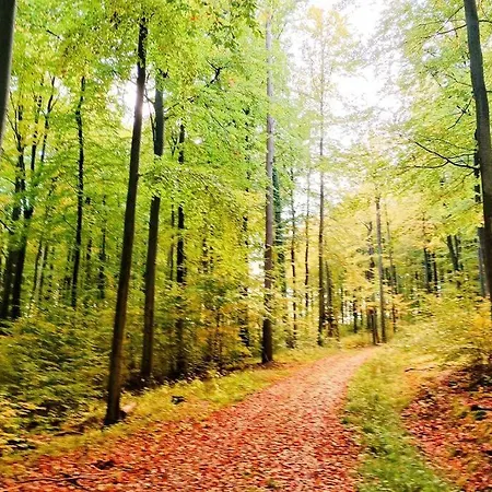 Forsthaus Am Wald Mit Garten & Feuerstelle Вилла *